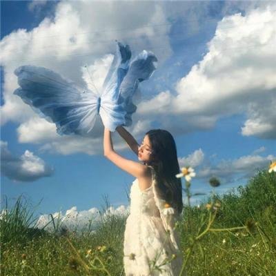森林随处可见